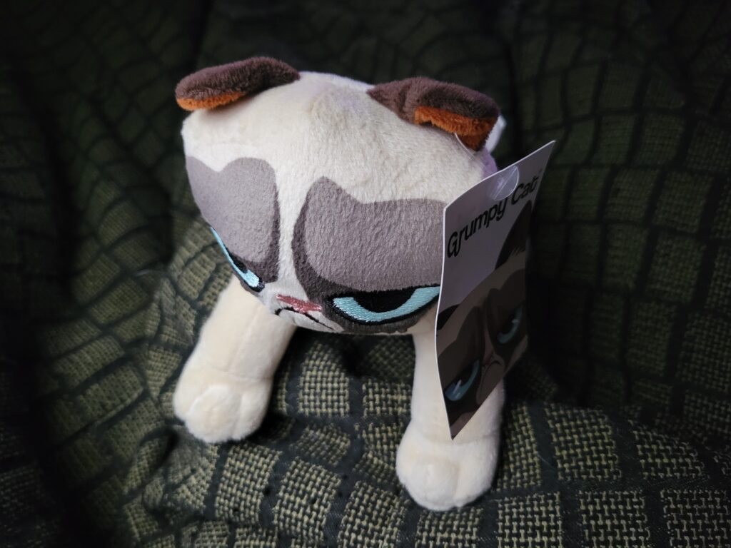 I Won A Grumpy Cat Plush at Dave & Busters
